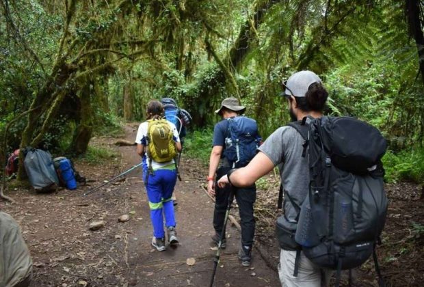 machame route wanderlust