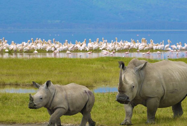 ngorongoro conservation area (2)
