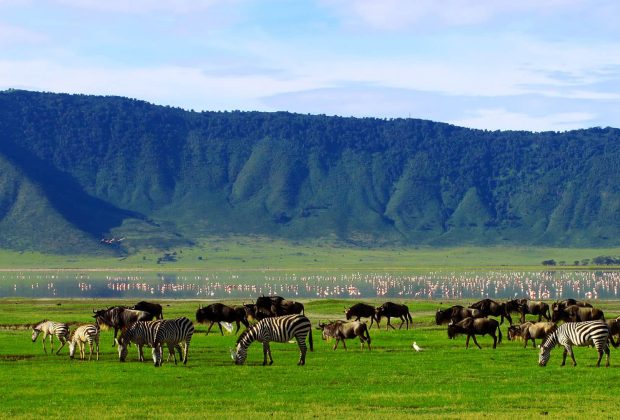 ngorongoro crater national park